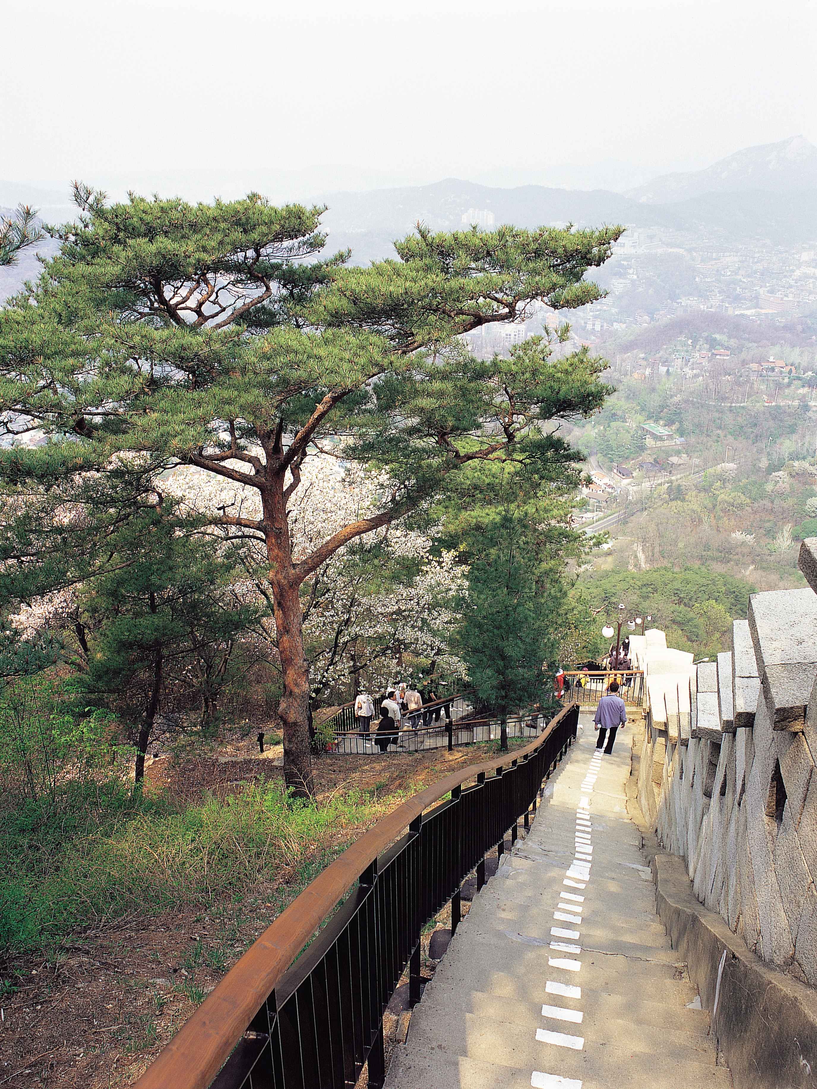 seoulDetail