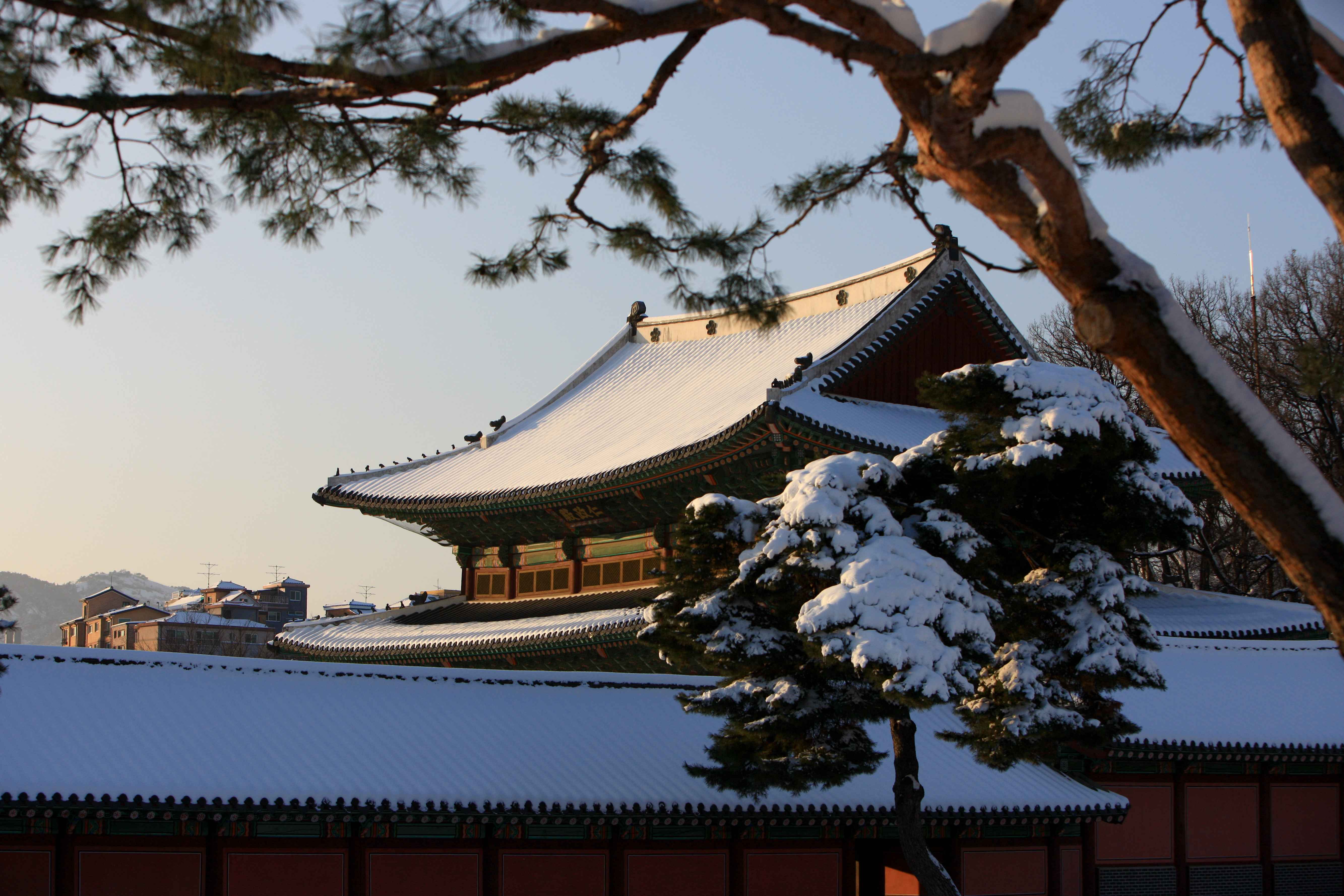 seoulDetail
