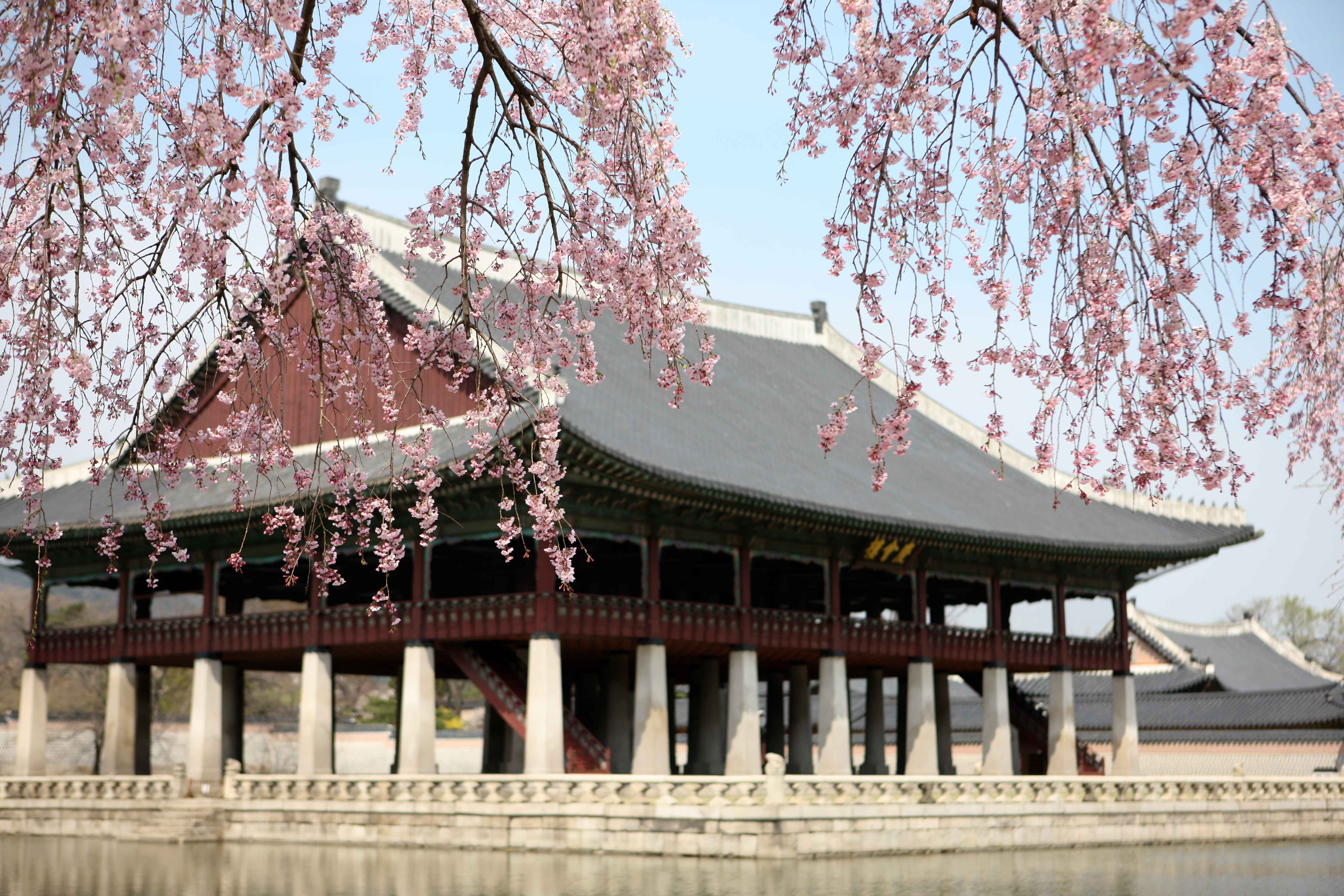 seoulDetail