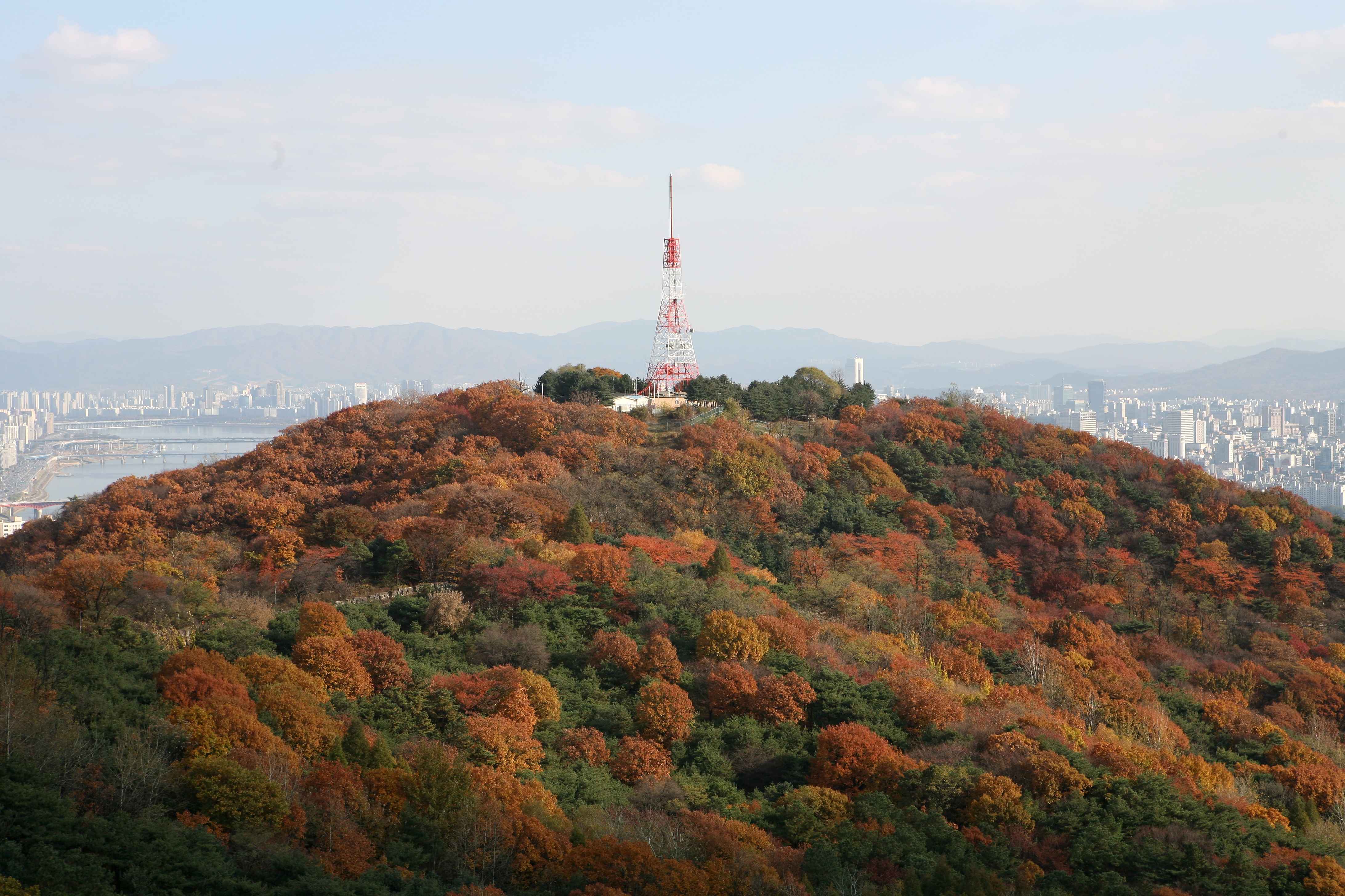 seoulDetail