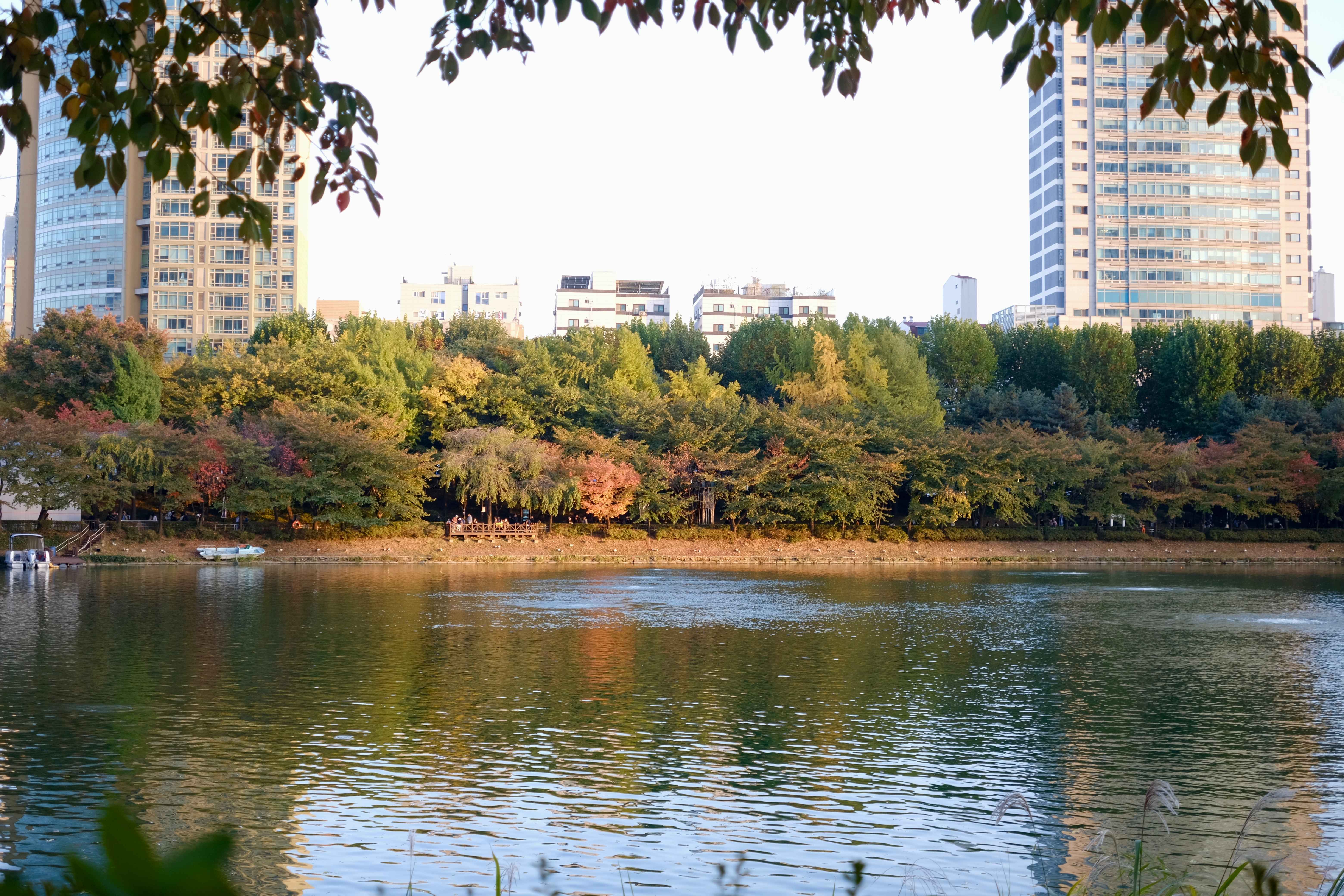 seoulDetail